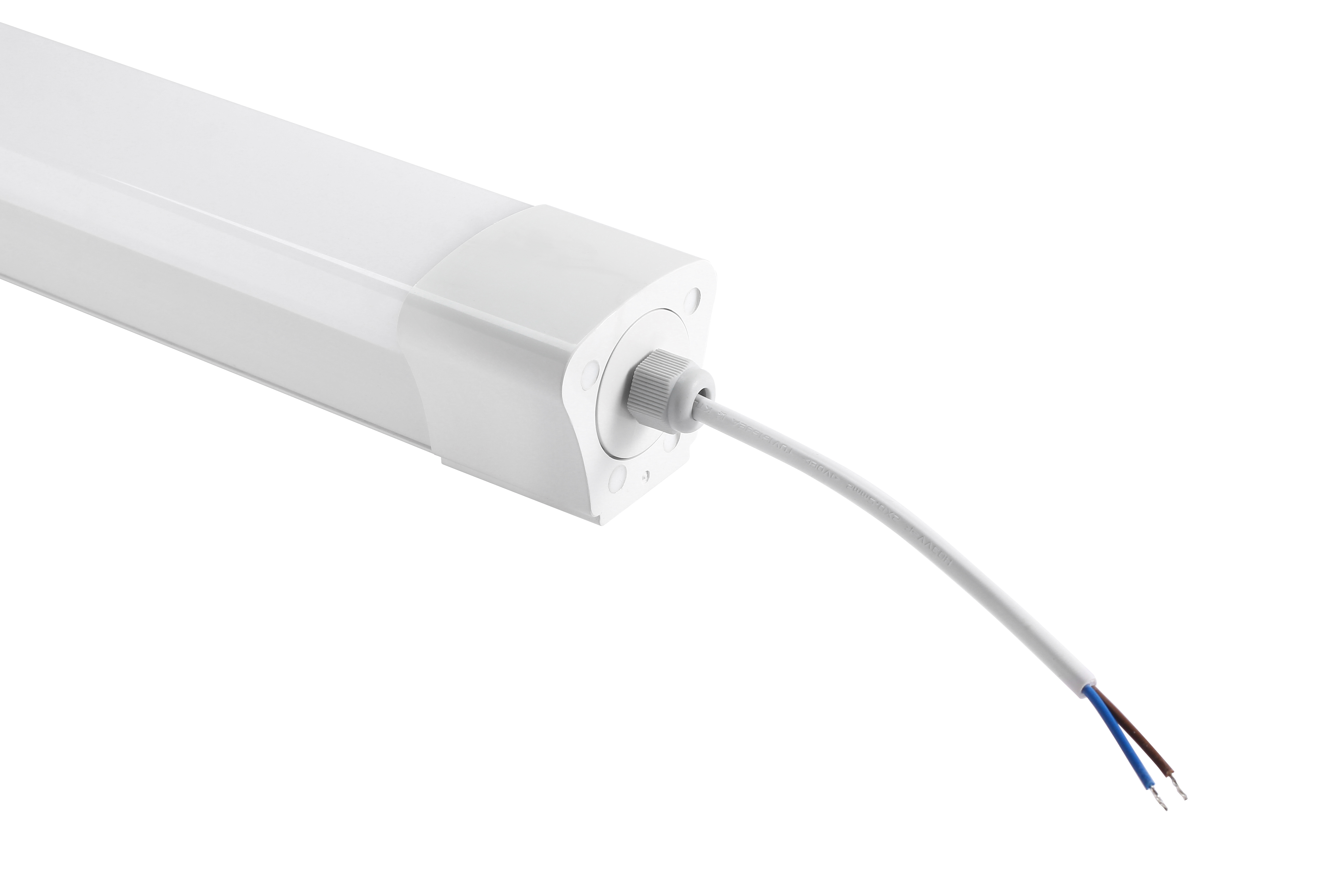 led cob spot light
